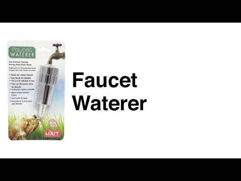 Bebedero Exterior para Llave de Agua 