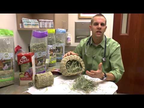 Guarida Bungalow "Timothy CLUB"