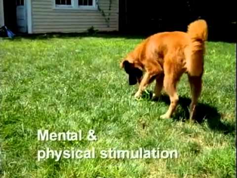 Pelota Malla Hol-ee Roller X