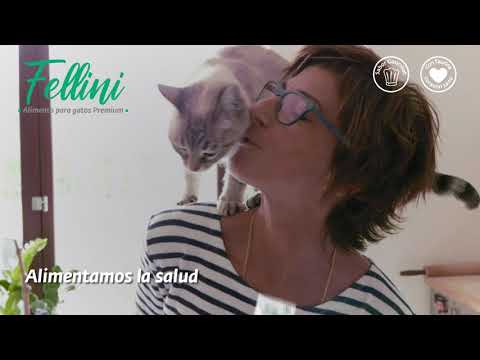 Alimento Húmedo "Fellini" Sabor Salmón Light