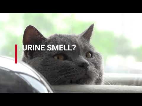 Arena Sanitaria America Litter Ultra Odor Seal