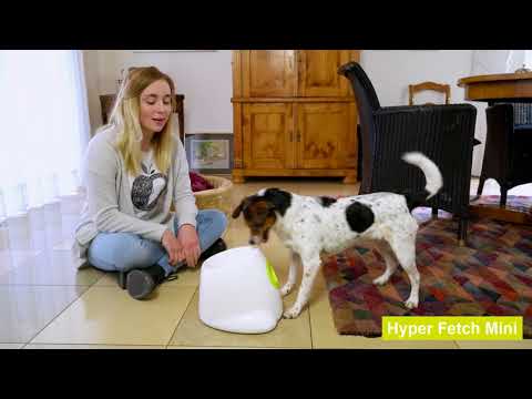 Lanzador Interactivo de Pelotas "Hyper Fetch Mini" para Perros