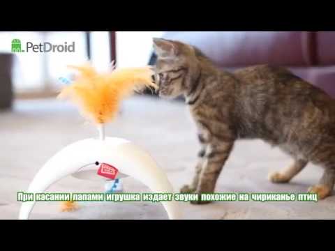 Juguete Interactivo "Plumas Giratorias" Pet Droid