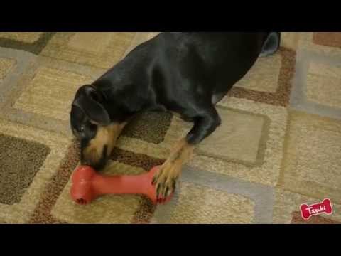 Hueso KONG "Goodie Bone" Clásico - M: 7 a 16 kg