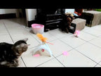 Juguete Interactivo "Wobble Feather" Pet Droid 