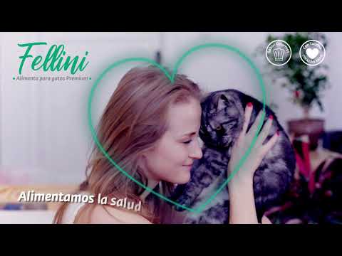 Alimento Húmedo "Fellini" Sabor Pollo en Salsa