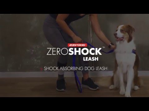 Correa Zero Shock™ 48" Absorción de Impacto EzyDog