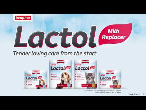 Sustituto Lácteo para Gatitos Lactol 