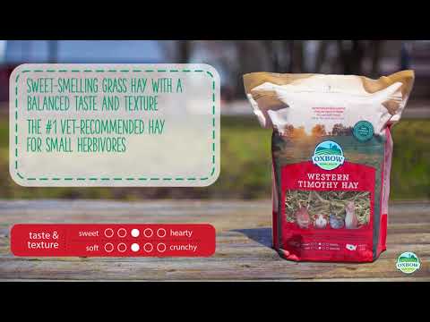 Heno "Western Timothy" Oxbow