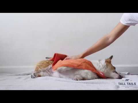 Toalla Capa con Bolsillos para Perros Tall Tails