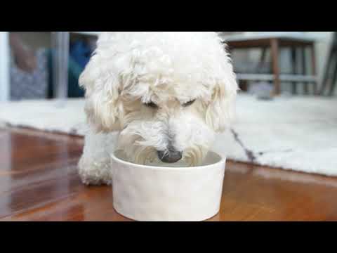 Aditivo para el agua Oxyfresh