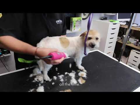 Máquina Profesional UltraEdge AGC Super 2-Speed Brushless - Burdeo