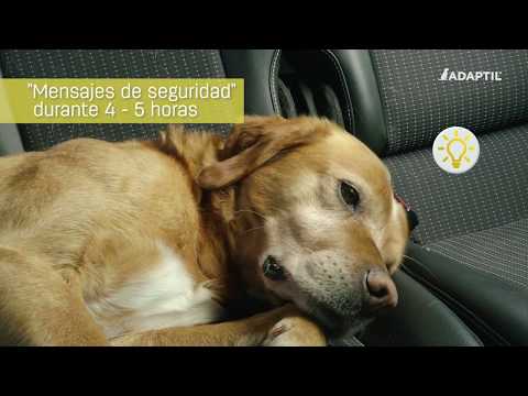 Adaptil Transport Spray