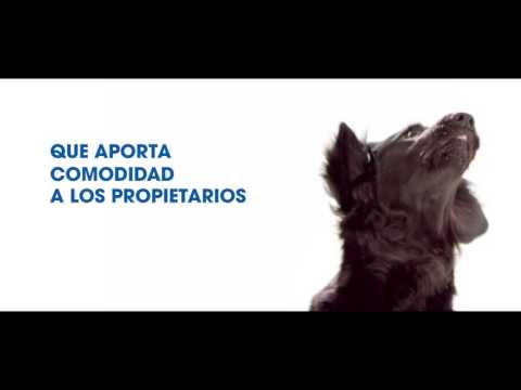 NexGard Spectra Antiparasitario - 1 tableta