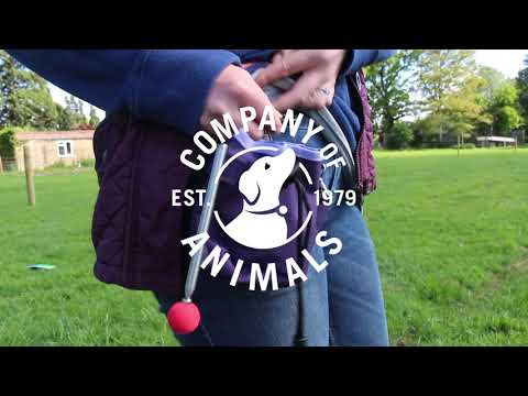 Bolso para Premios Company of Animals