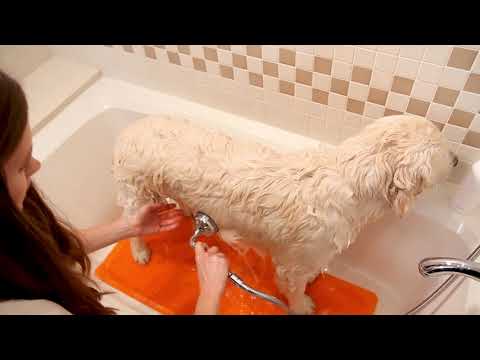 Mat para Ducha "Wet Paws" Tall Tails
