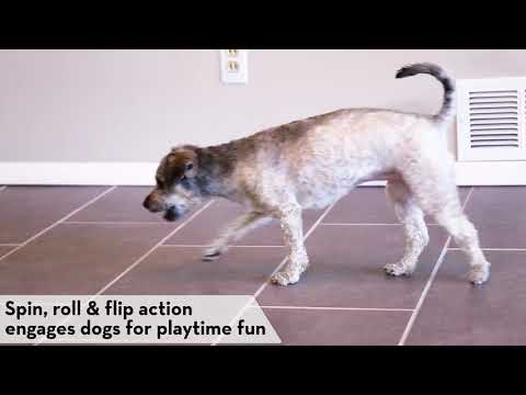 Juguete Kong "Spin it"