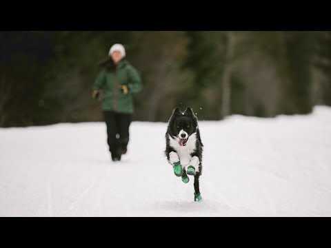 Calcetines "Bark'N Boot Liners" Ruffwear