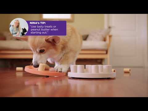Nina Ottoson "Dog Smart"