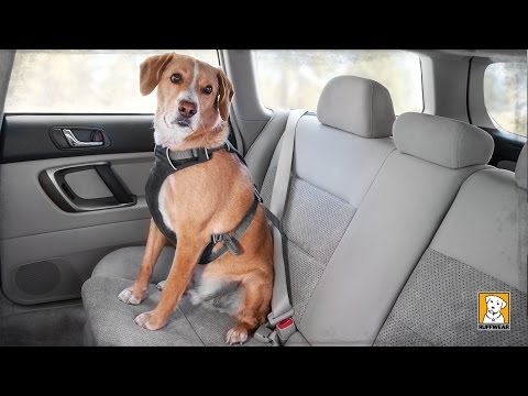 Arnés y Cinturón de Seguridad "Load up" Ruffwear