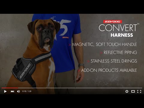 Convert Harness EzyDog - Negro / Large