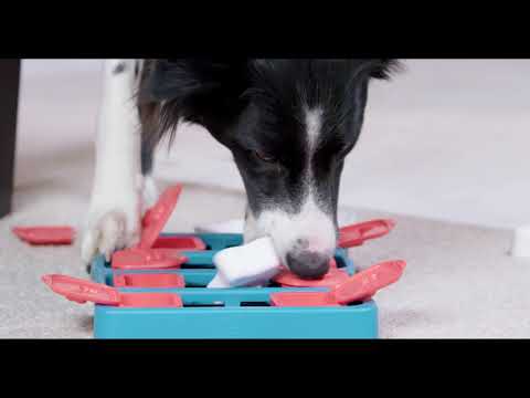 Nina Ottosson "Dog Brick"