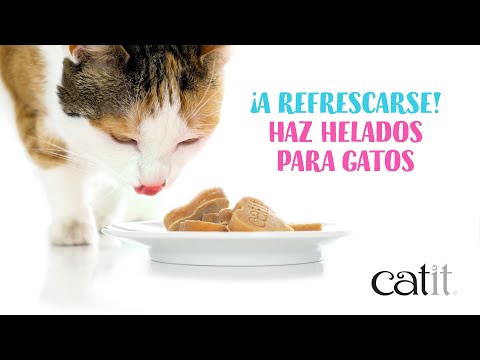 Hielera de Silicona "Creamy" Catit