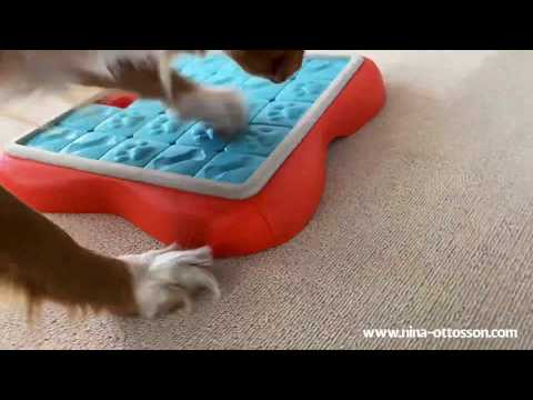 Nina Ottosson "Challenge Slider" para Perros