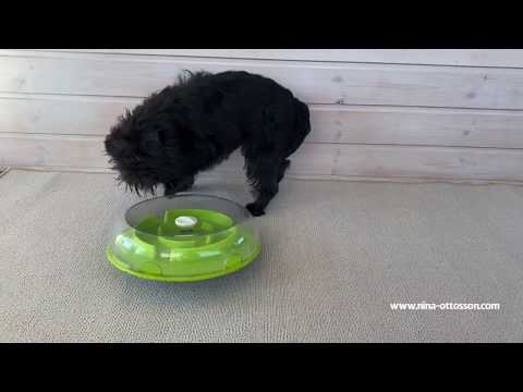 Nina Ottosson "Wobble Bowl" para Perros