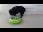 Nina Ottosson "Wobble Bowl" para Perros