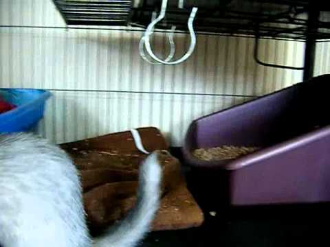 Bandeja Sanitaria con Seguro Lock-On