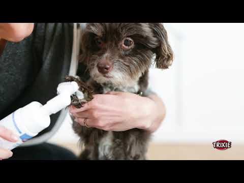 Limpiador de Almohadillas con Cepillo Trixie