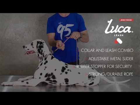 Correa y Collar Luca Leash EzyDog