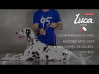 Correa y Collar Luca Leash EzyDog