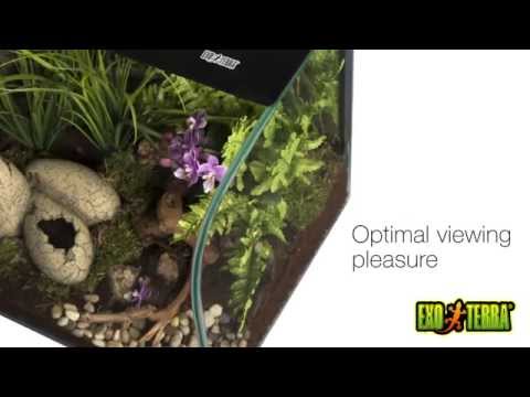 Terrario de Escritorio Habisphere Exo Terra