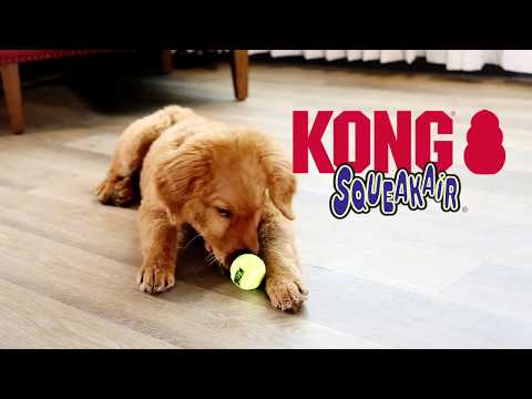 Kong Ball Air 6X