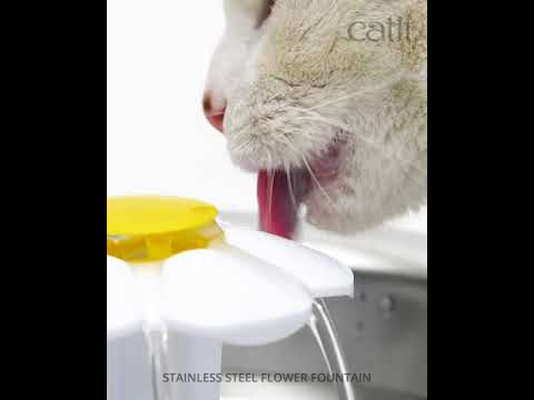Bebedero de Flor Acero Inoxidable Catit 2.0