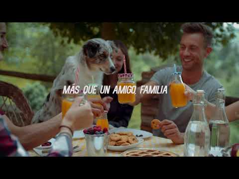 Simparica Antiparasitario para Perros - 1 Comprimido - 5 a 10 kilos