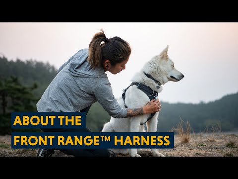 Arnés para Perros "Front Range" Ruffwear - Medium / Spring Mountain
