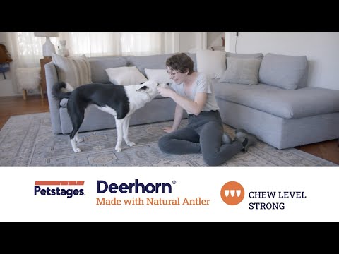 Petstages Juguete Asta de Ciervo