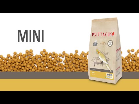 Psittacus Alimento Formula Mini - 12 Kg