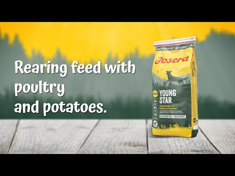 Josera Young Star para Cachorros 12,5 Kg