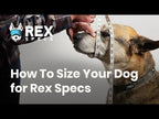Rex Specs V2 Antiparra para Perros Black - L
