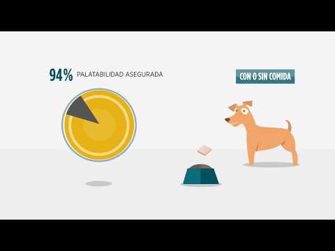 Simparica Antiparasitario para Perros - 1 Comprimido - 10 a 20 kilos