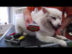 Cepillo FURminator para Pelecha de PERROS Talla M