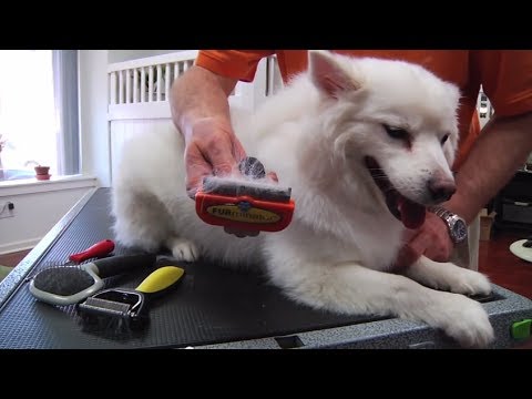 Cepillo FURminator para Pelecha de PERROS Talla L - Largo