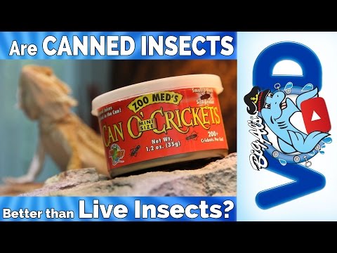 Mini Grillos en Lata "Can O' Mini Size Crickets"
