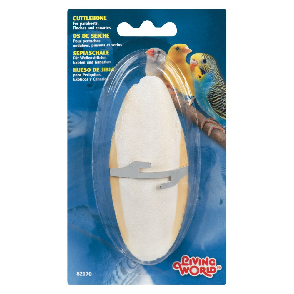 Hueso de Jibia Small - 1 unidad: 12,5 cm