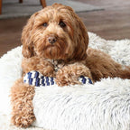 Juguete Hueso Trenzado Navy Tall Tails
