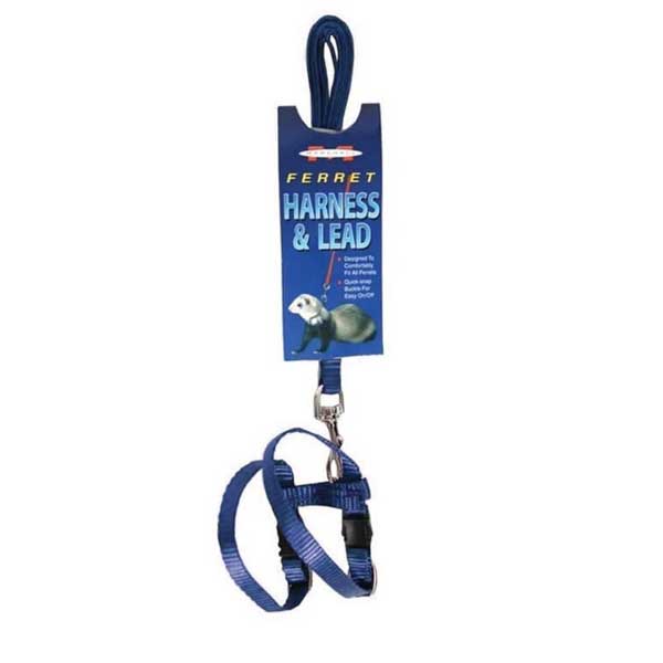 Marshall Arnés y Correa para Hurones